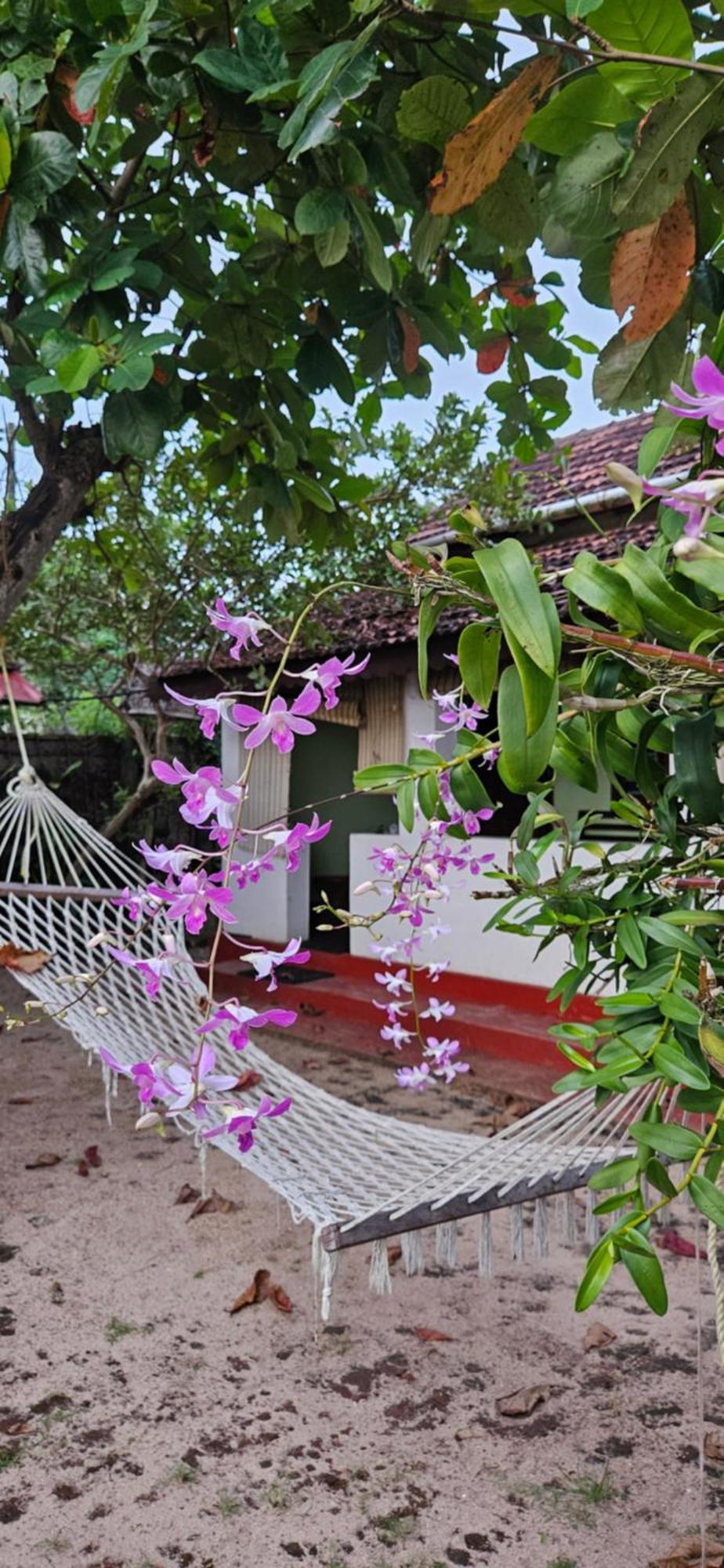Angeo Beach House Alappuzha Exterior foto